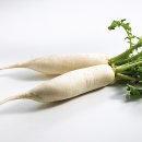 스타휘트니스 이미지