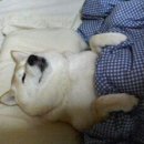 시그너스호텔 이미지