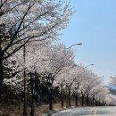 방구동구스낵 | [주간일기] 4월 1주차 일상기록 엑소클락