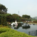 베어트리파크수목원 Daum카페