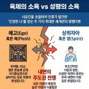상위자아 개념과 바울 신학 비교 이미지