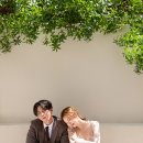 팸스튜디오 이미지