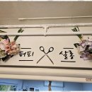 퍼피쌀롱 이미지