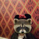 이도랜드 | LA 신혼여행 2일차| LA 애너하임 디즈니랜드 후기