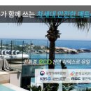판다림일산고양