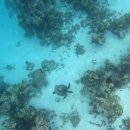 거북이당구장 이미지