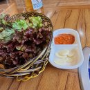 콩사랑마을 이미지