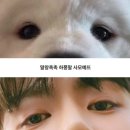 여주켄넬 이미지