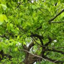 도도리저수지 이미지