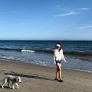 캘리포니아 이미지