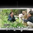 KBS 인간극장 &#34;우리집 왕빠&#34; 3부 심층분석 - 치매 어머니와 제삿날의 뜨거운 눈물 💔