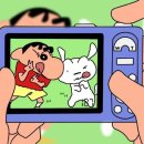맥스 | W5. 제주스냅 셔터프레소 | 롱샷 계약 후기 (맥스 작가님)