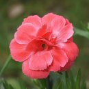 세훈약국 이미지