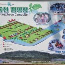 와룡천 캠핑장 이미지