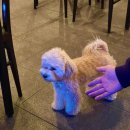 역전할머니맥주 홍성법원점 이미지