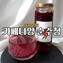 카페다잉;순수청
