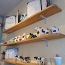 화랑목장 이미지