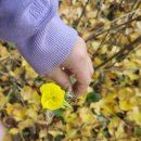 삼가관광농원 이미지