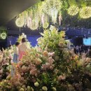 하계 | 노원구웨딩홀 비엔티컨벤션 상담 후기, 하계역 주차 및 11월 예식 꿀팁