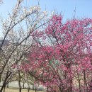 금천체육관 이미지