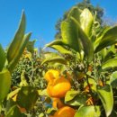 (주)온주 이미지