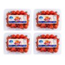 G마켓) 달콤한 토망고 2kg (500g x4팩) 스테비아 대추방울토마토 일반/망고향/청포도향 11,900원 이미지