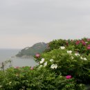 해안농장 이미지