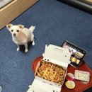 노랑통닭 영천점 | 동탄2 후라이드치킨 맛있는 신진미통닭 내돈내산 후기