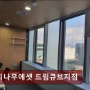 느티나무에셋 드림큐브지점 다양한 오피스 옵션과 상세 설명 제공