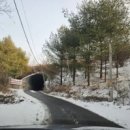 파인피노펜션 이미지