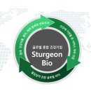 스톨존바이오(주) - 11589 | 스톨존바이오(주)