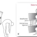 가이드사이언스 이미지