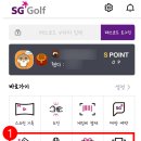 SG골프 이미지