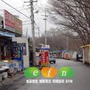 국수전 이데일리