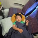시은반찬 | 대한항공 시드니→인천, KE402, B787-10, 31열 G,H 후기, 기내식, 유아식 후기