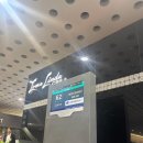 956 | [에어멕시코] 멕시코시티 - 몬테레이 여정 + AM956 + 에어멕시코 탑승 후기 + B737 MAX 9 + 기내서비스