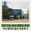 천안 아산여행 실내가볼만한곳 아산생태곤충원 최근 방문후기
