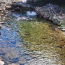 물한 산중 민박 이미지