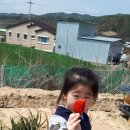 상모농장 이미지