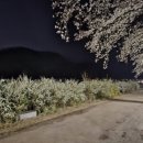 송해보건지소 이미지