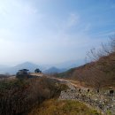 금성 주유소 이미지