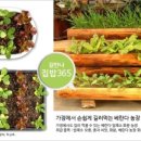 외양농장 이미지