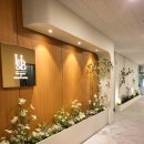 내츄럴스페이스 이미지