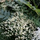 홍천산골놀이터 이미지