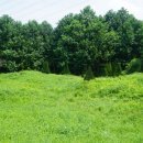 다문리 양묘사업소 이미지