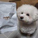 오아오멍 이미지