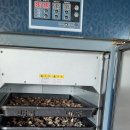 광수농장2 이미지