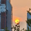 퇴근길 - 북구 호계동 | 퇴근길