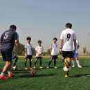 교하체육공원 이미지