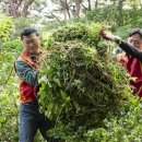 SK네트웍스 이미지